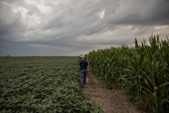 Biggest U.S. Corn Grower Is Delivering Some Yield Surprises