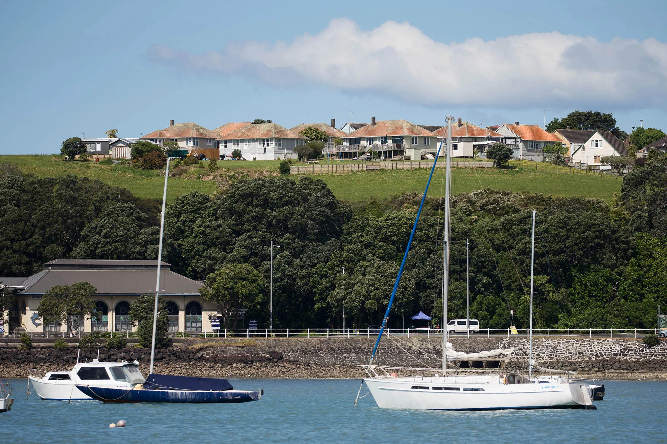 The suburb of Orakei, home to some of Auckland's most expensive real estate.
