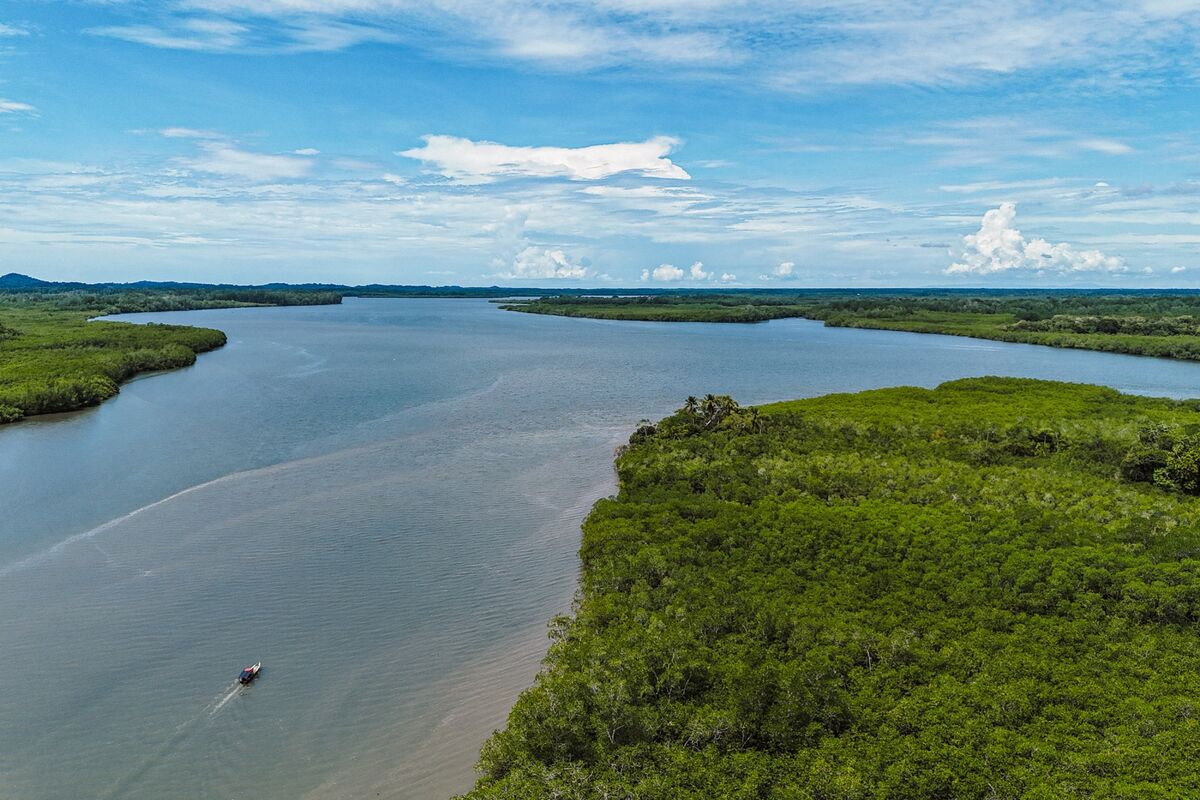 Dos magnates estadounidenses chocan por un puerto de US$260 millones en una zona clave de Panamá