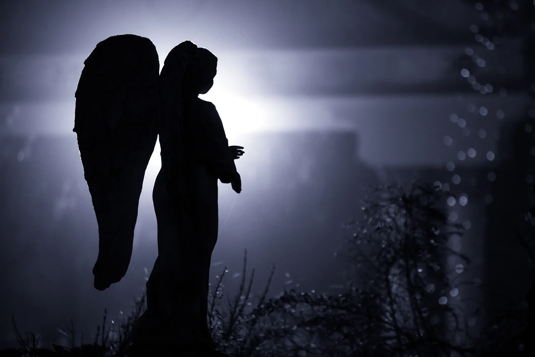 The Fallen Angel