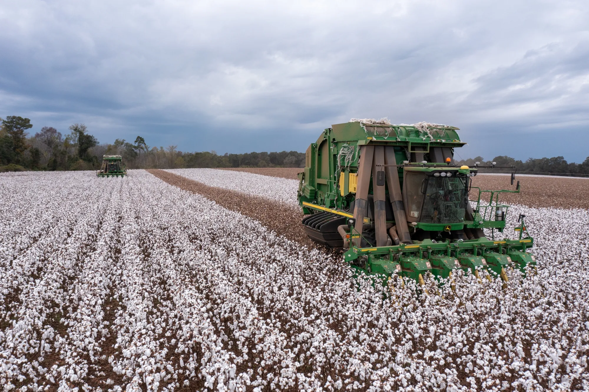 A cotton harvest at a farm in Bronwood, Georgia.
