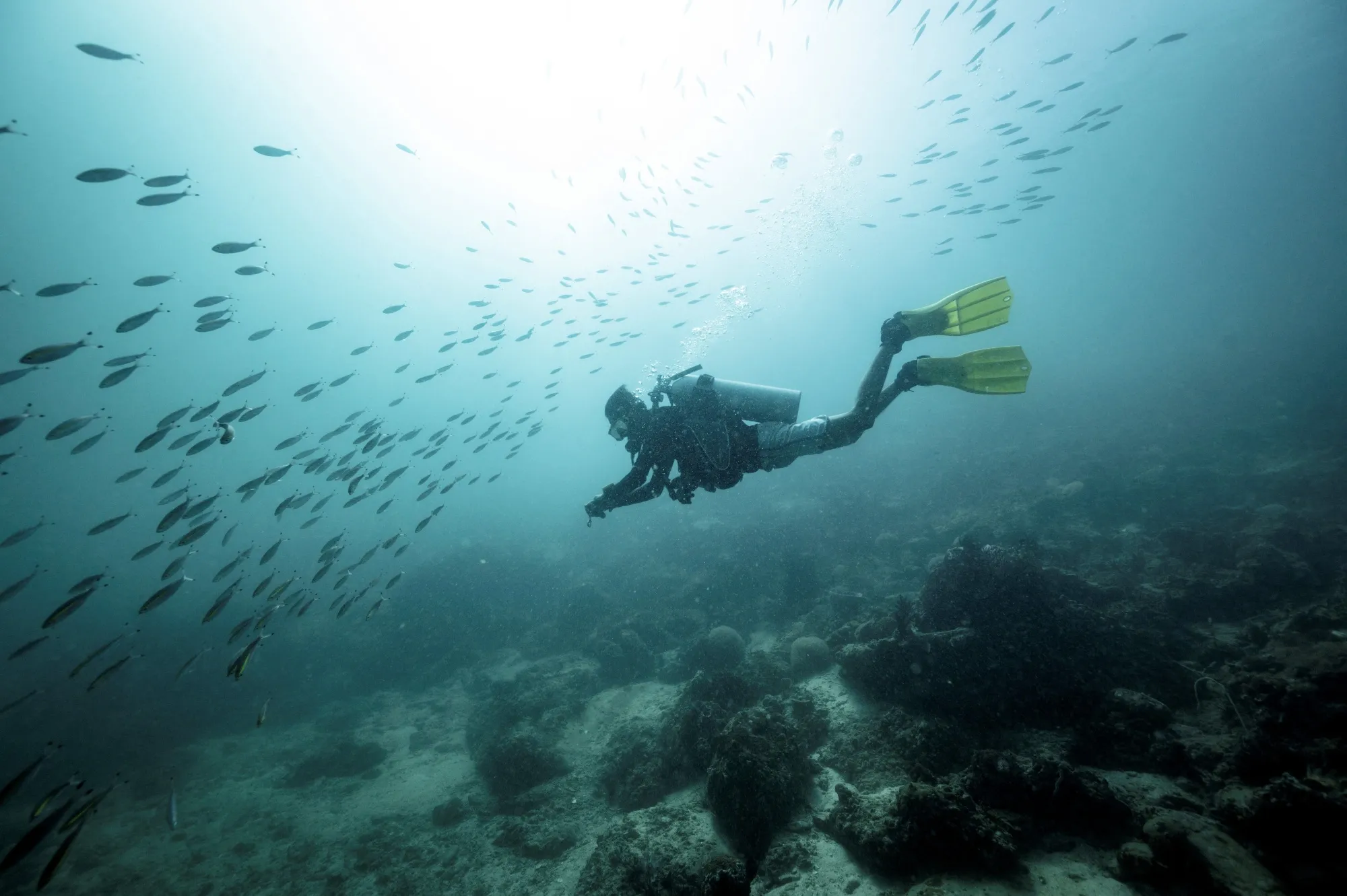 A diver off the southern Thai province of Satun.&nbsp;