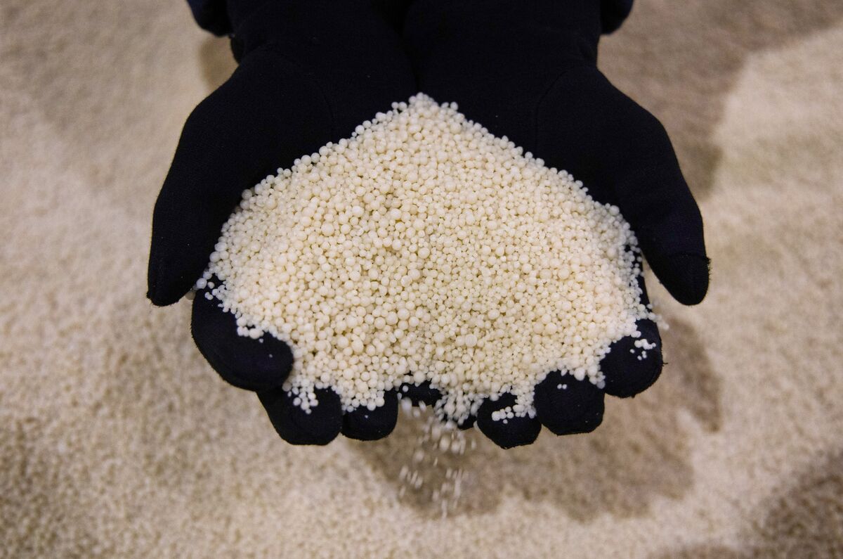 Fertilizer Stocks Gain as Ukraine Hits Russian Plants