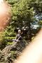 pursuits-fall-2015-eric-ripert-bloomberg-04