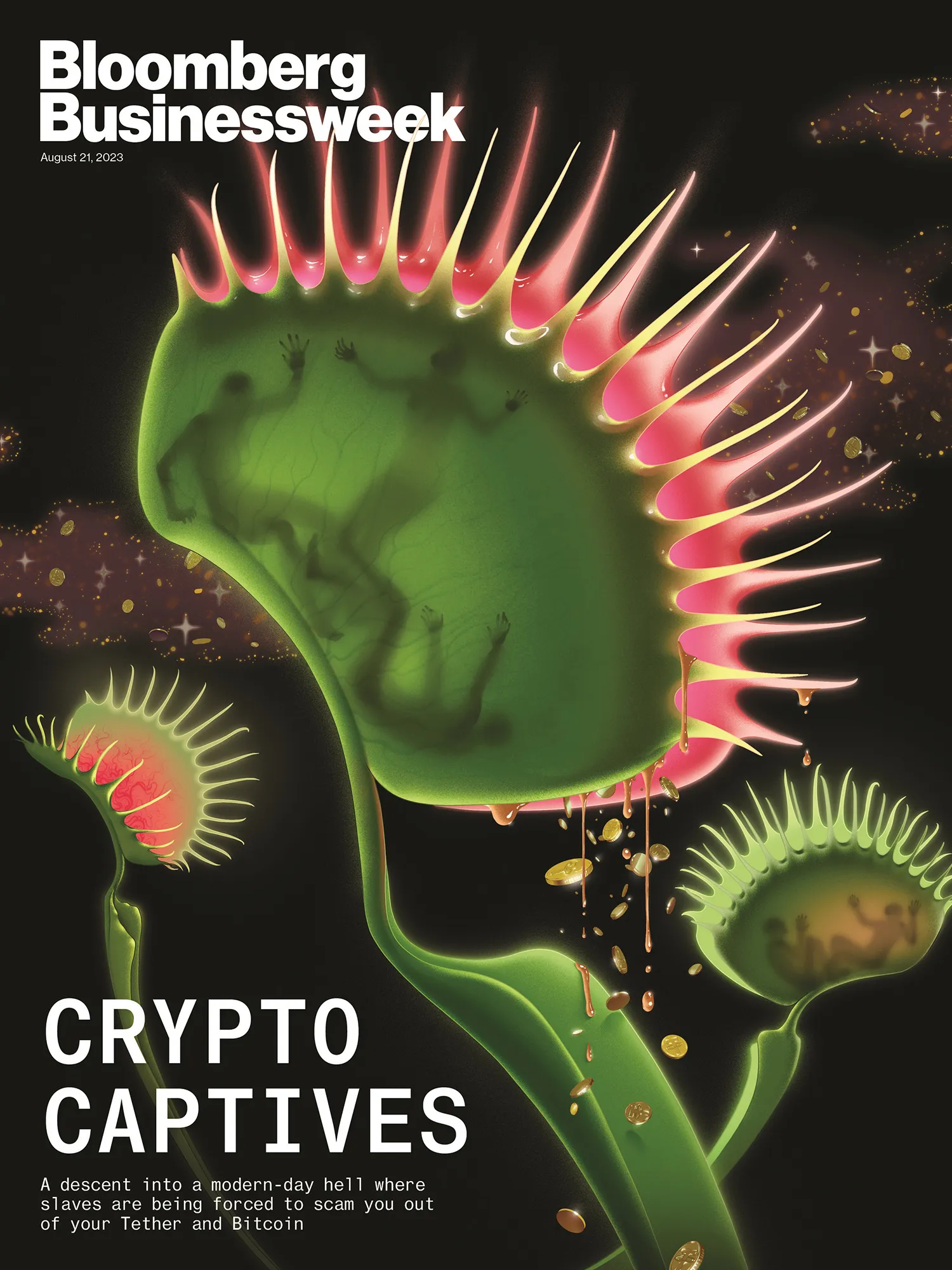 Crypto Text Message Scams Lead Back to Cambodia Slave Labor - Bloomberg