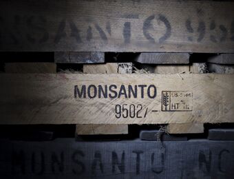 relates to Monsanto Gets $185 Million PCB Verdict Tossed in Washington