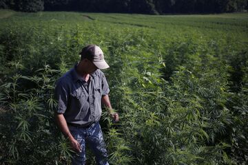 Cannabis Backlash Claims Buffett S Door To Door Vacuum Salesmen