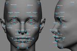 Facial mapping points for recognition software