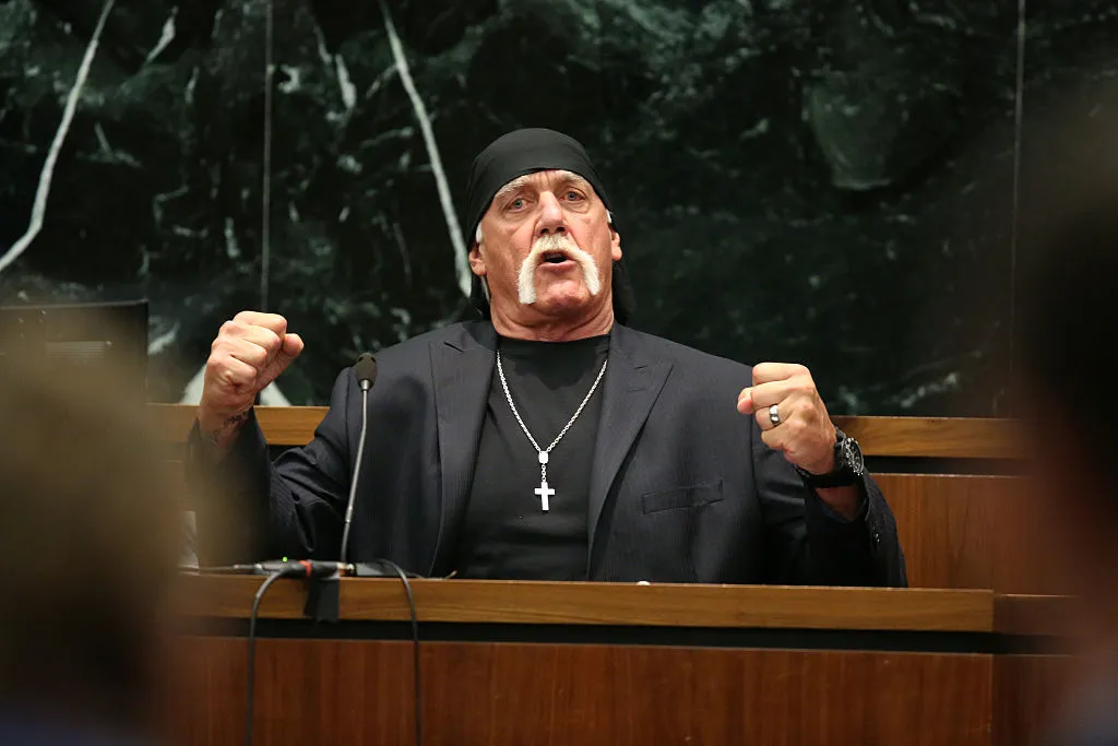 The Constitution didn't help Gawker fight back.
