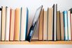 Google Books’ Win May Threaten Other Media