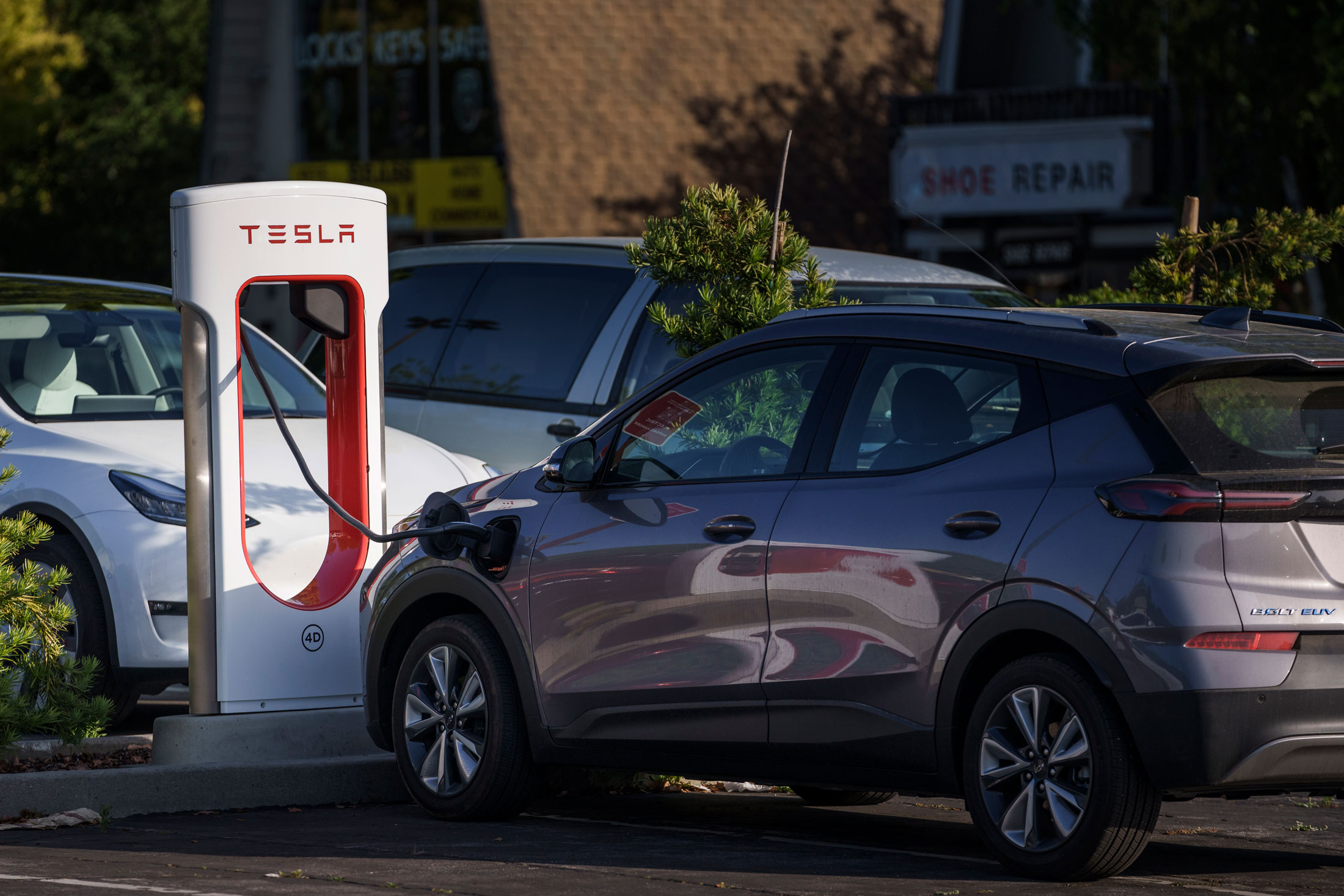 Tesla, Dominant in US Charging, Invites Ford, GM EVs to Power Up