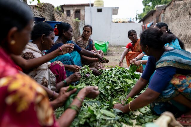 Women chat as they make fertilizer on an organic soybean farm in Ralegaon, Maharashtra. Organic farming  has increased significantly in India in recent years, in part because of government support. It can mean higher prices for producers, given strong demand from key consumer markets like the United States. Hurdles holding back the expansion of organic fertilizer in particular include a lack of distribution networks and storage, but also hefty government subsidies for mineral alternatives.
