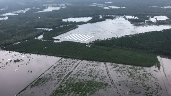Pig Excrement Spills Into North Carolina Floodwater