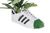 The Greening of Adidas