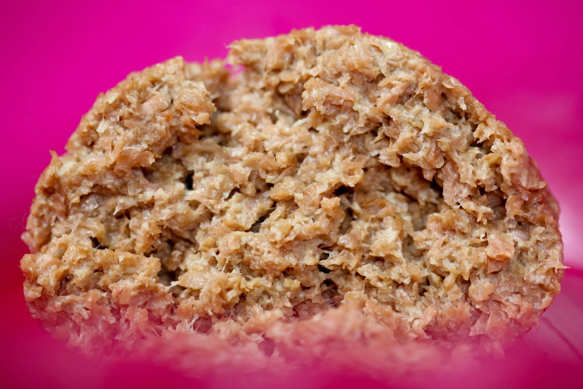Inside Greenwise LLC Plant-Based Startup