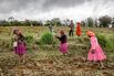 Climate Change Has Central Americans Fleeing to the U.S.