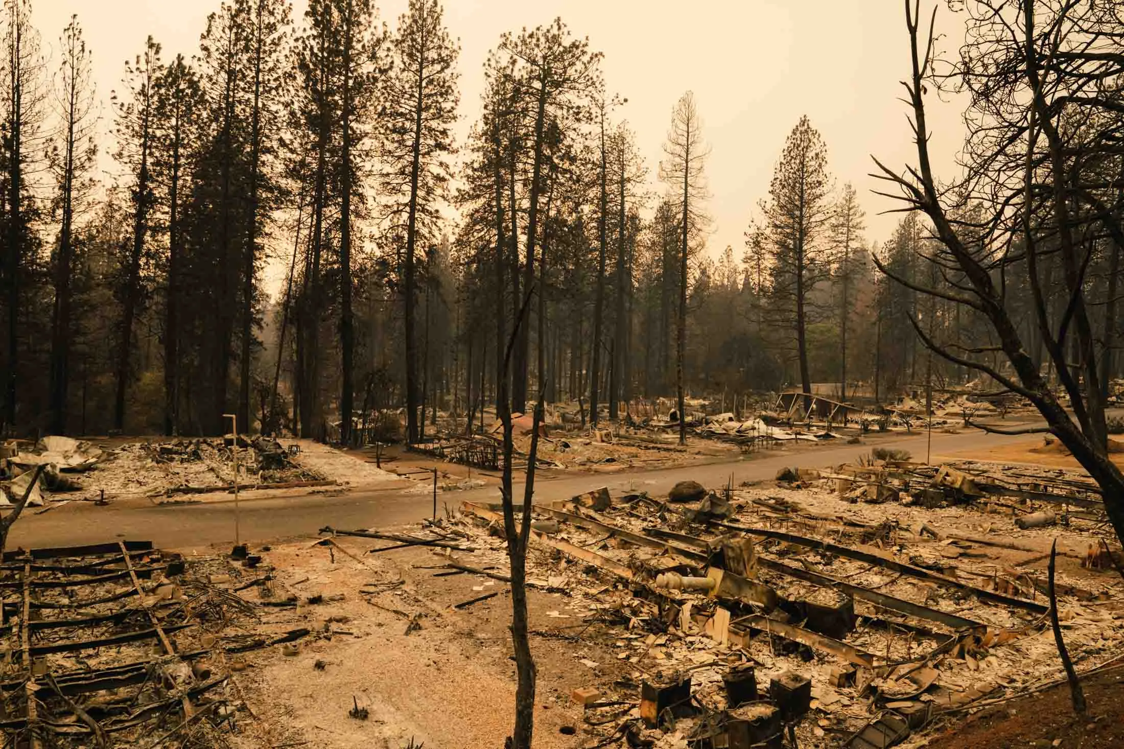 A neighborhood decimated by the Camp Fire in Paradise, California.