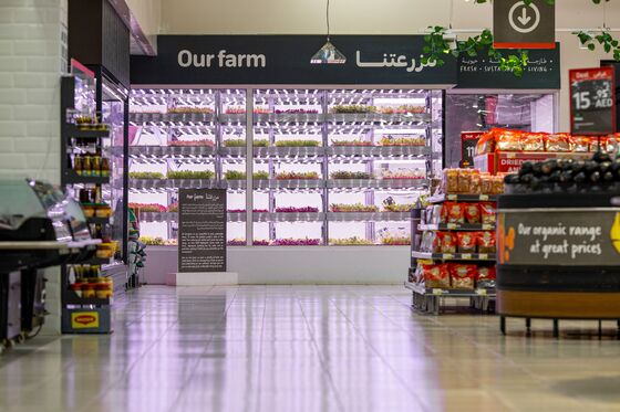 Vertical Farming’s Success Depends on the Cheapest Lightbulb