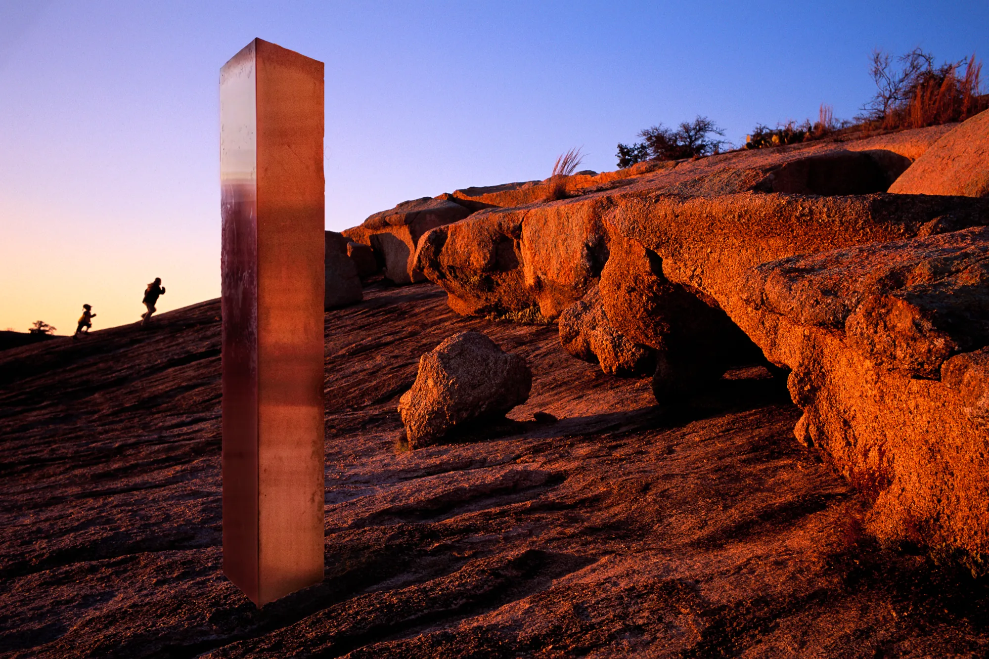 A puzzle inspired by on one of the most interesting mysteries of 2020.&nbsp;