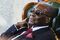 Former President Of Zimbabwe Robert Mugabe Speaks Ahead Of General Election
