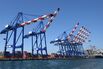 The Port of Los Angeles.