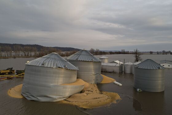 Up to Their Waists in Water, U.S. Farmers Face Crucial Decisions