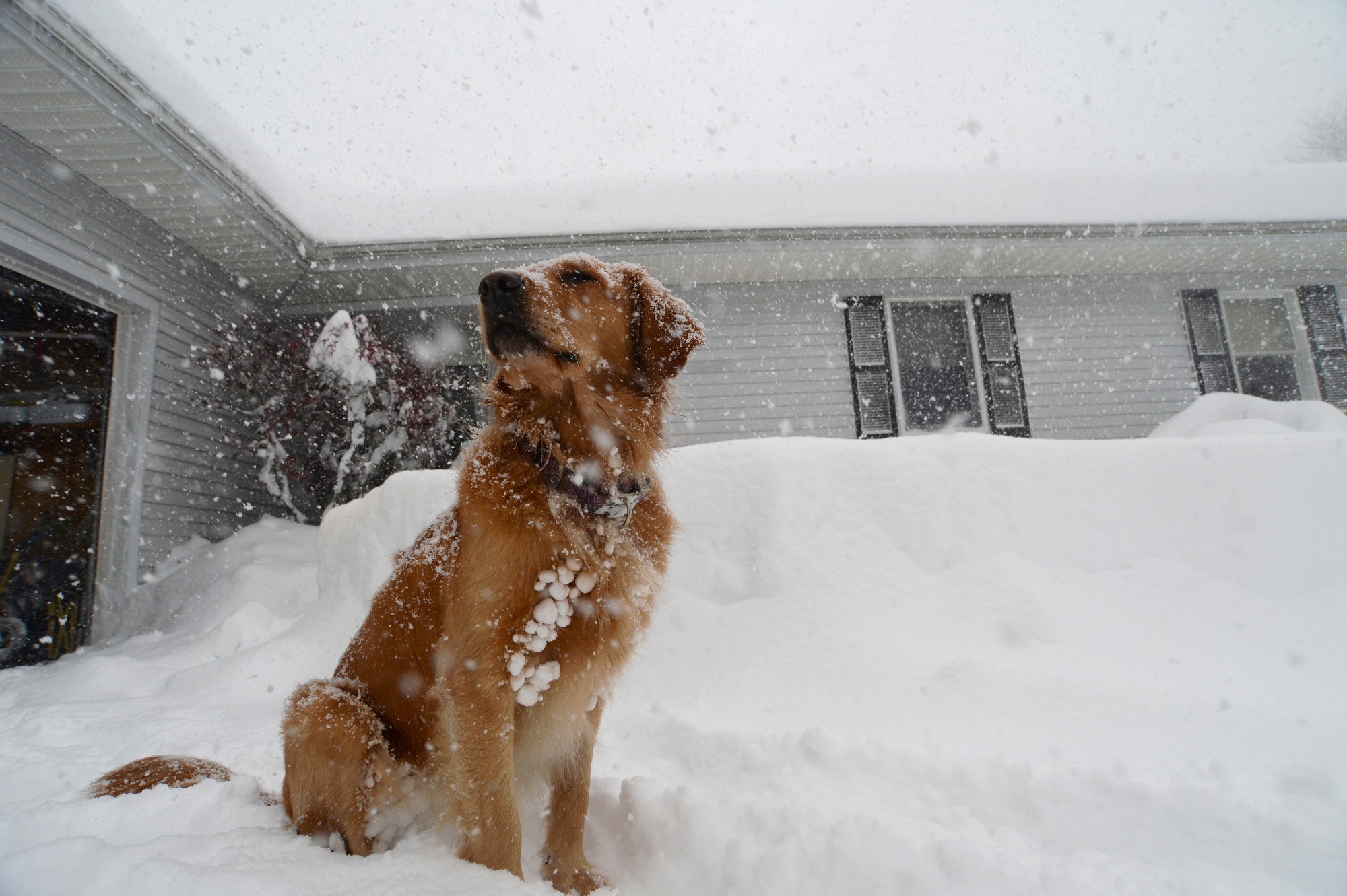 PHOTOS: Record snowstorm buries parts of upstate New York under 6 feet of  snow