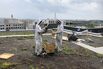 Why Urban Beekeeping’s Popularity Is on the Rise