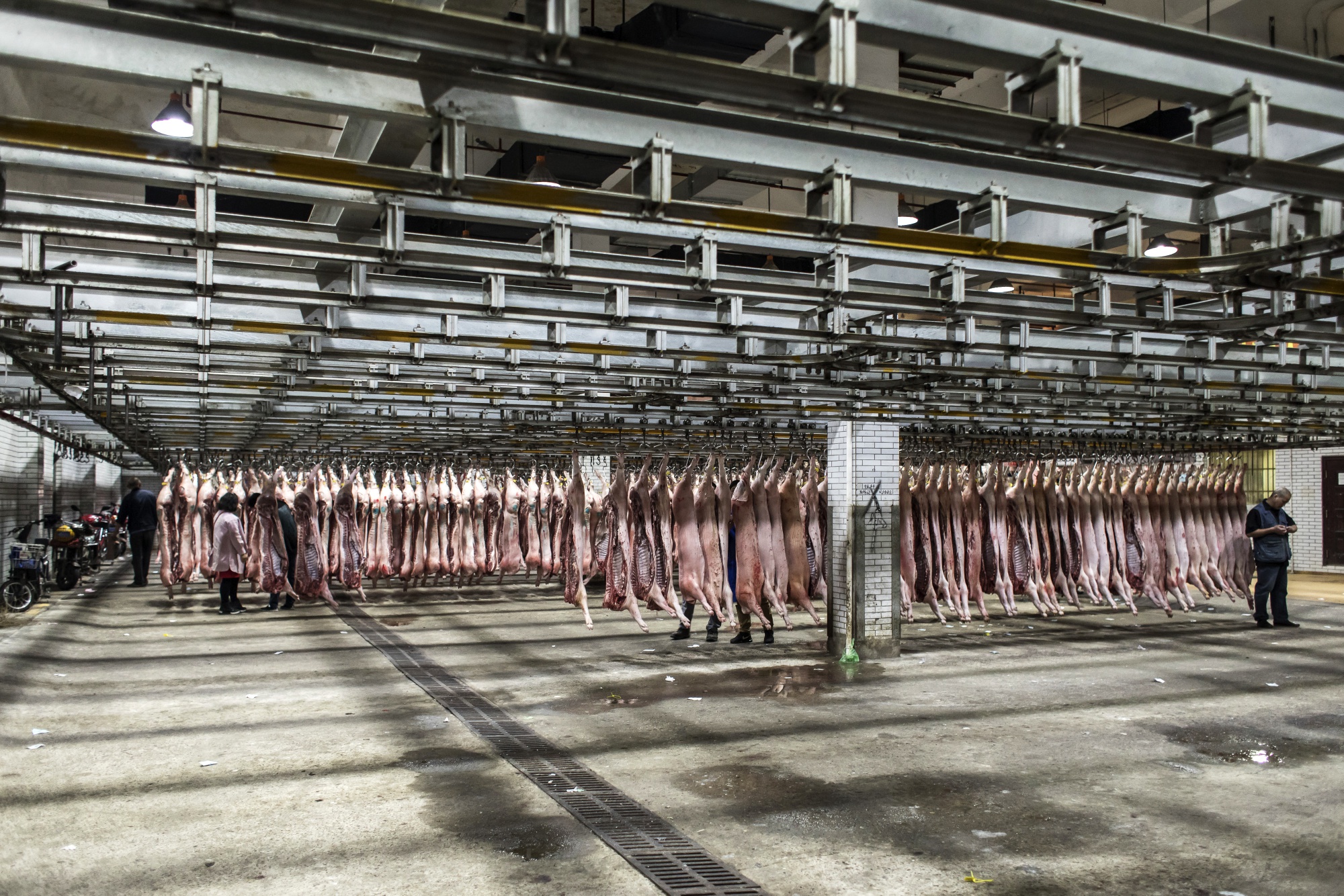 Pig carcasses hang from a conveyor at a pork wholesale market on the outskirts of Shanghai, China.