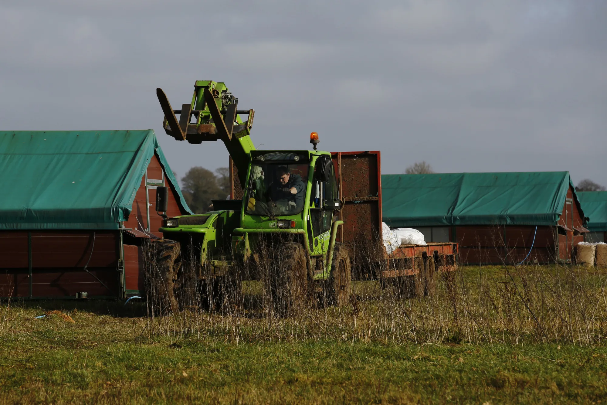 Mobile poultry housing at Traditional Norfolk Poultry Ltd.&nbsp;in Shropham, U.K.