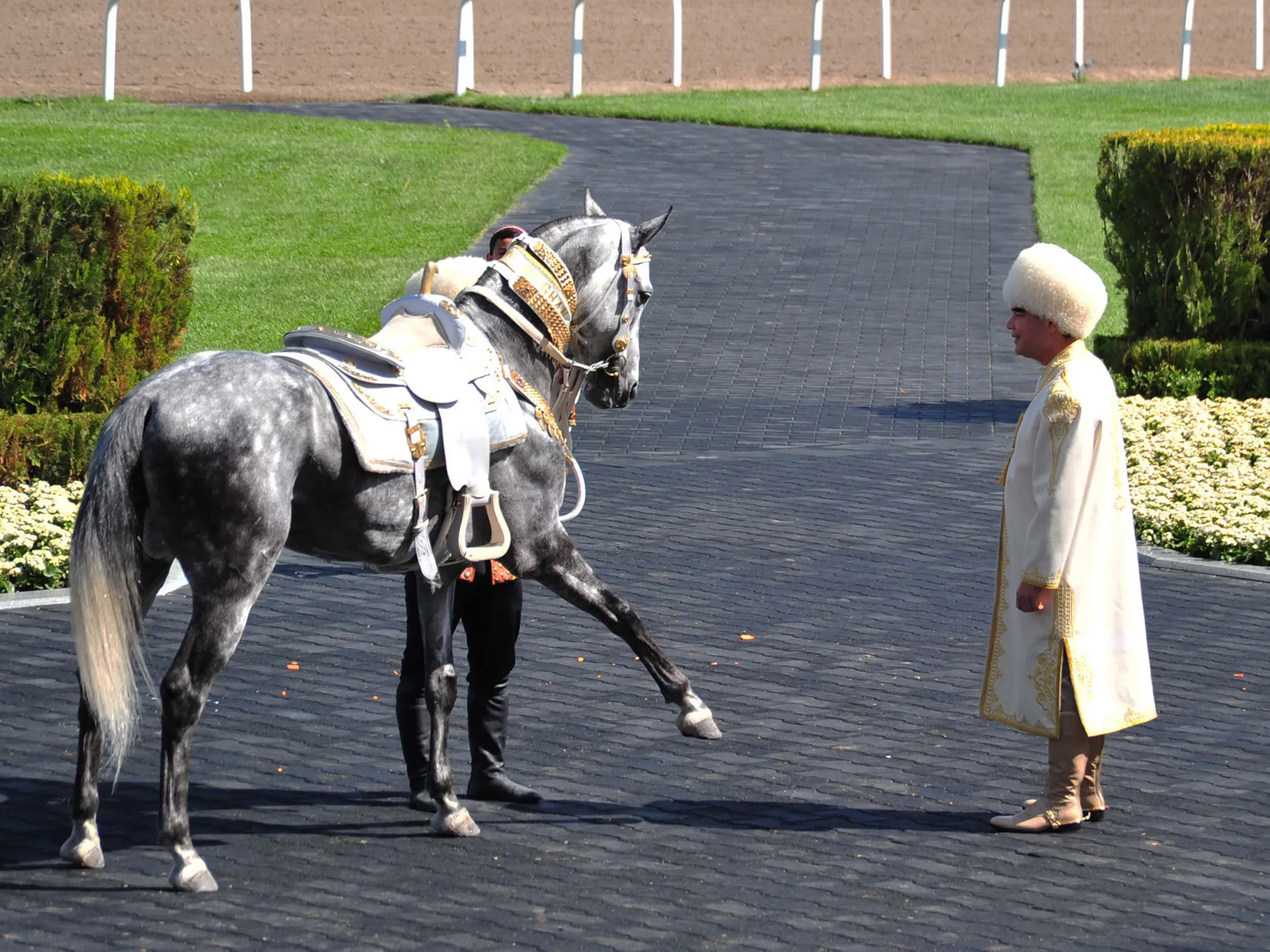 Turkmen horse day is celebrated in Ashgabat, Turkmenistan.