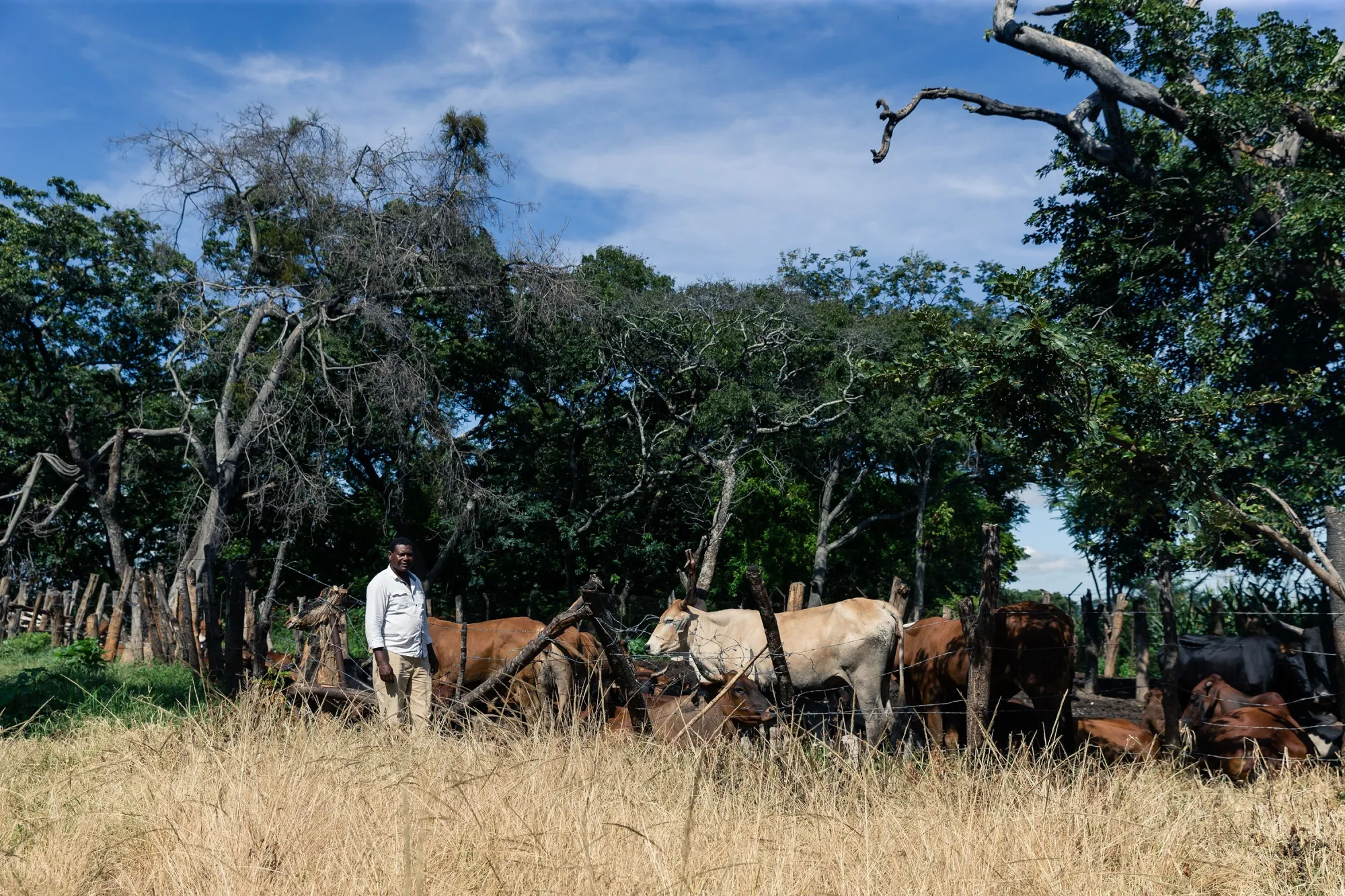 A farmer on his land in Nyabira, near Harare.