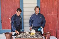 relates to Hosting Dinner Parties Isn’t Just for People Who Can Cook