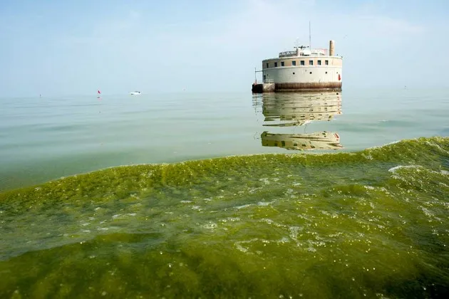 Toledo’s water intake on Lake Erie on Aug. 4