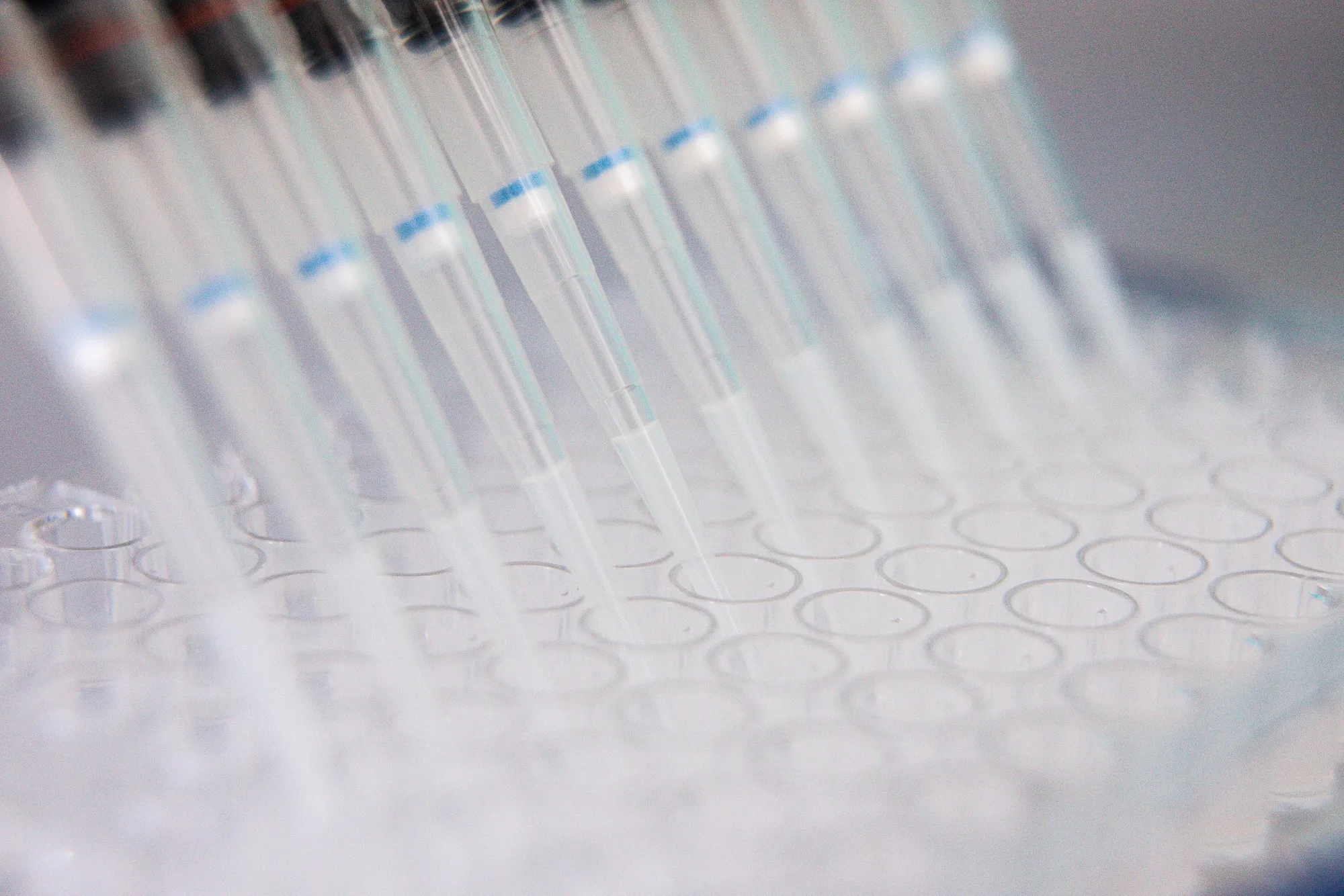 A lab technician uses a multichannel pipette dropper during the antigen quantification process of the coronavirus vaccine research at the Valneva SA laboratories in Vienna, Austria, on Thursday, Aug. 6, 2020. The U.K. has signed agreements to buy 90 million doses of vaccines in development by drugmakers including Pfizer Inc., BioNTech SE and Valneva SE, joining countries around the world racing to secure supplies of protection against Covid-19.