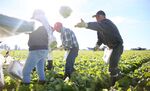 1487139032_us farmer
