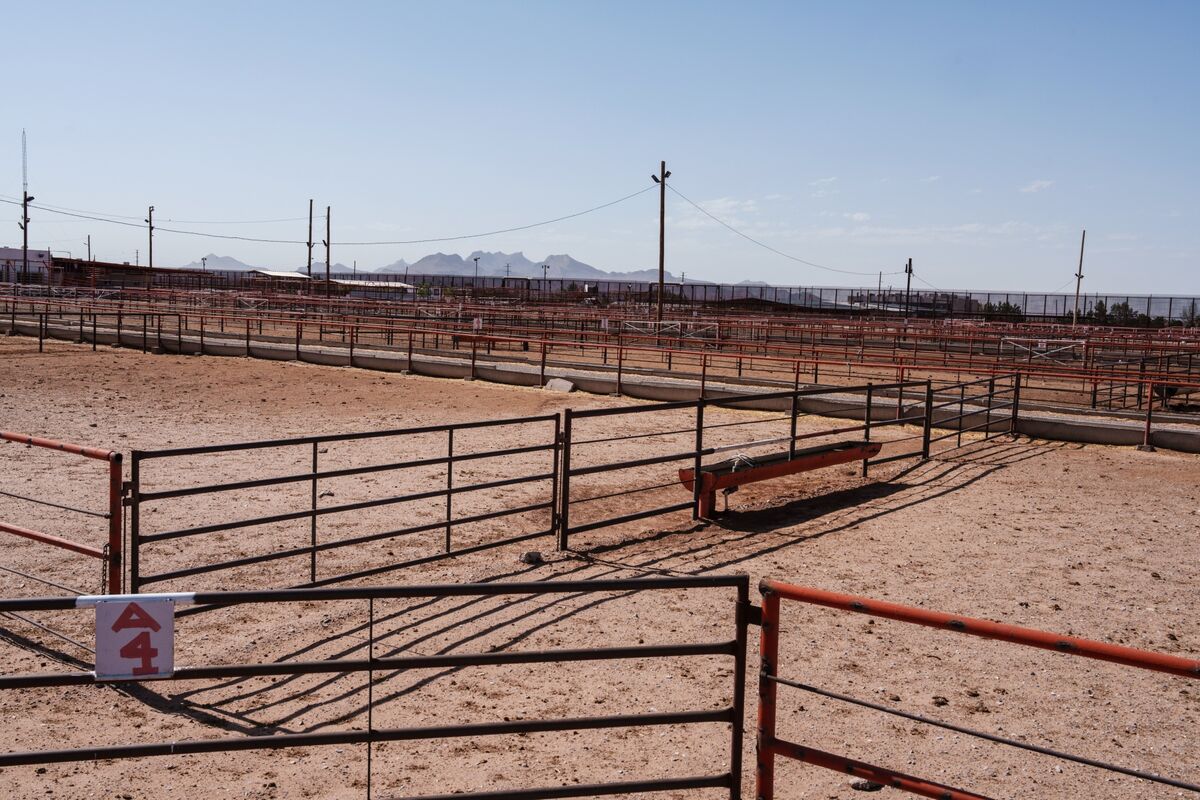 assets.bwbx.io image