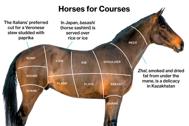 does dog food contain horse meat