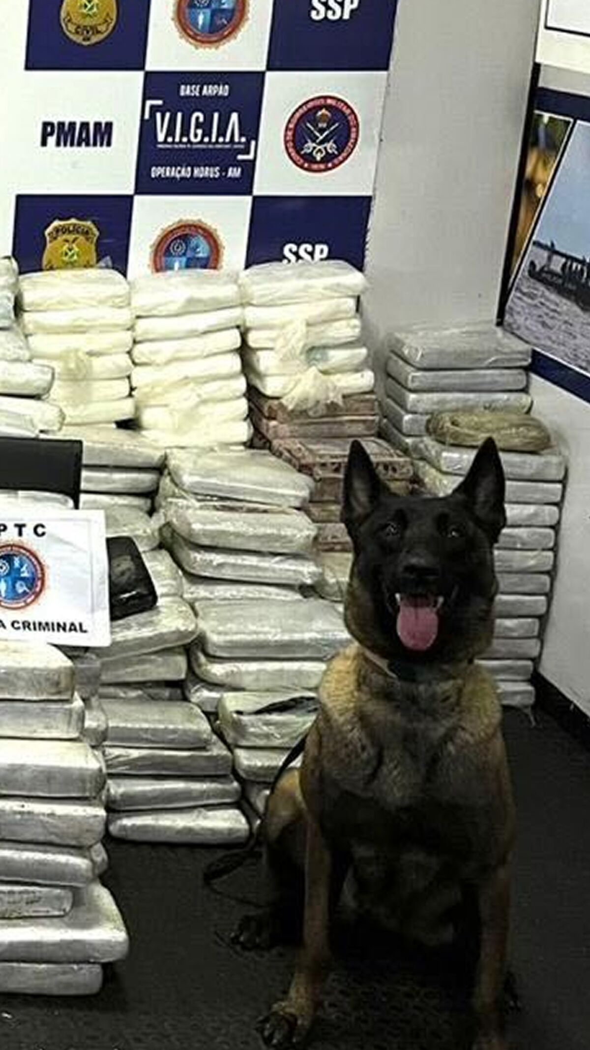 Golden Age of Cocaine Smuggling Puts Brazil's Fragile Truce With Trump at Risk