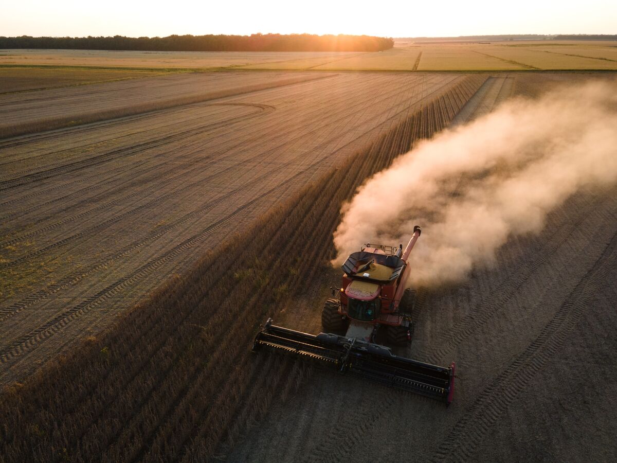 Trump Presses China on Soybeans as Tariff Risks Rise