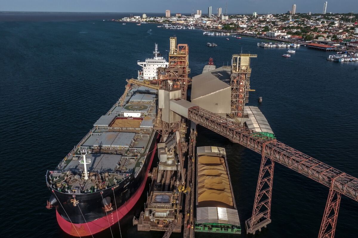 Brazil Regulator Agrees to Keep Amazon Soy Ban Through Year-End