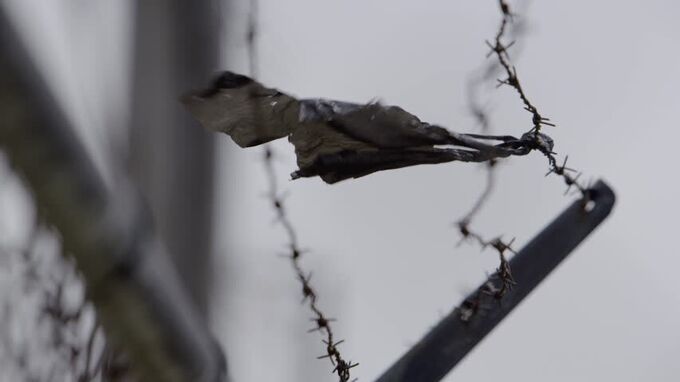 Reparations for Black Residents in Chicago? Evanston, Illinois’s Hard ...