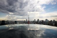 Tokyo's Skyline