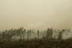 INDONESIA-MALAYSIA-SINGAPORE-ENVIRONMENT-HAZE