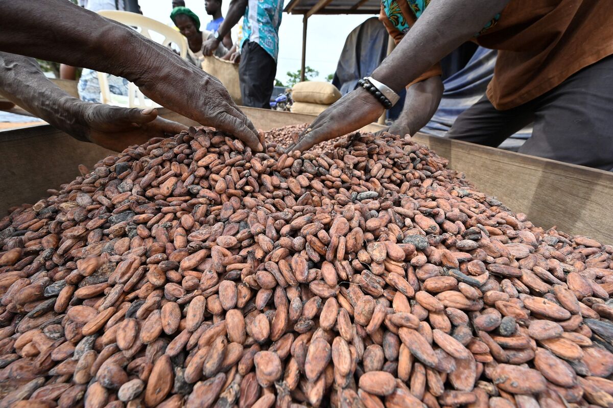 Mondelez MDLZ Pledges 600 Million As African States Snub Cocoa Talks Bloomberg