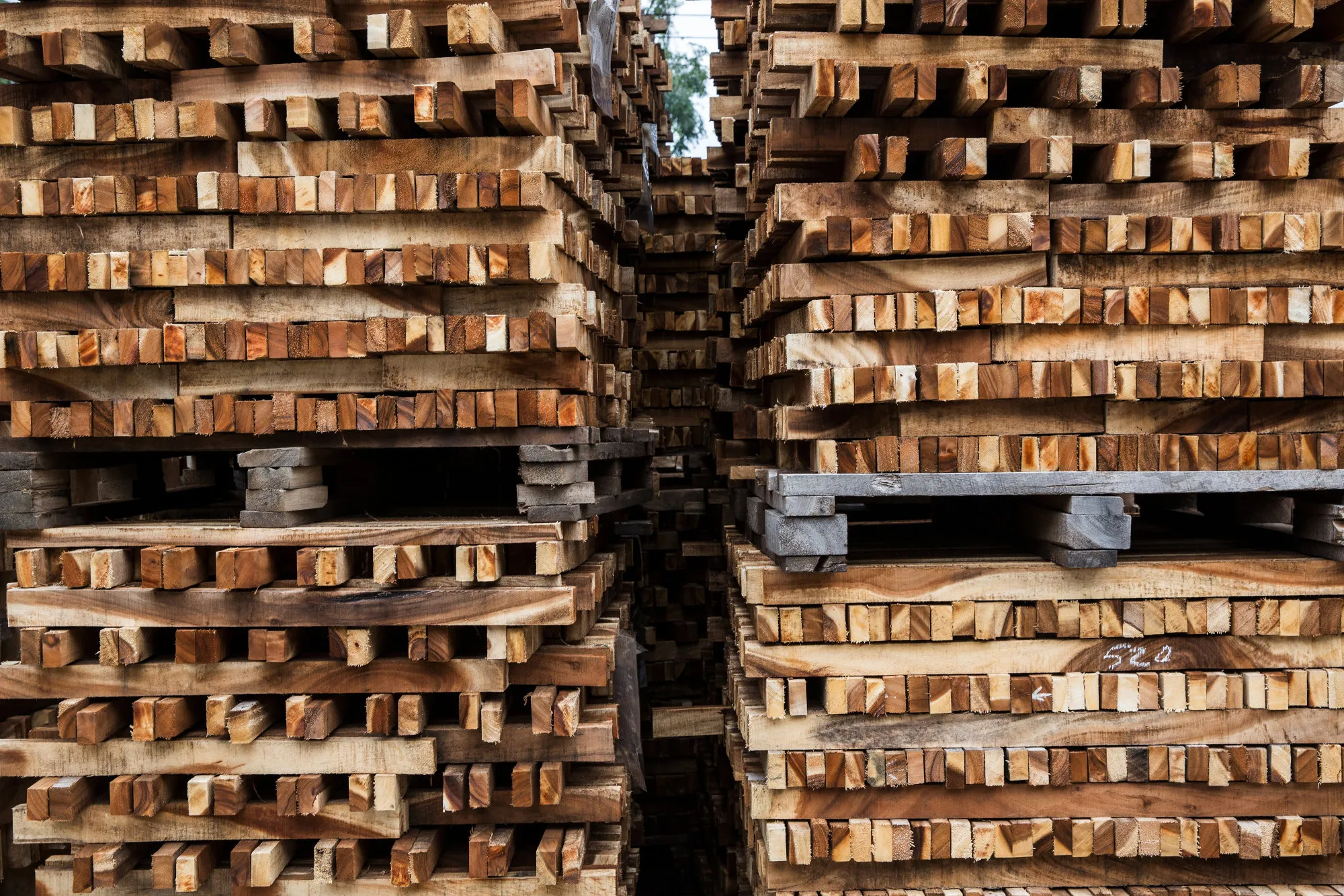 Section of timber sit stacked at a sawmill in Thailand. Photograph: Taylor Weidman/Bloomberg