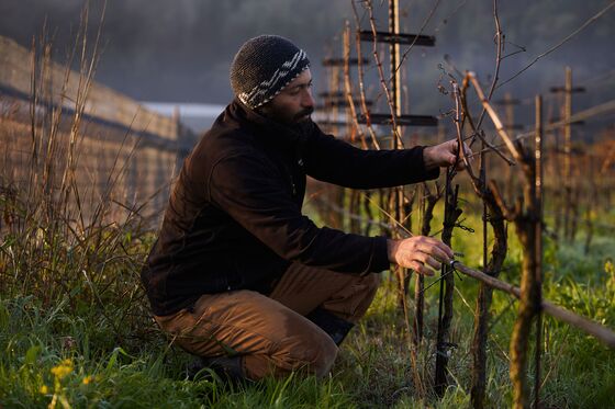 How a Boutique Winery Emerged From the Pandemic Better Than Ever