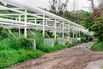 0619_FEAT_MEXICO_01-lede