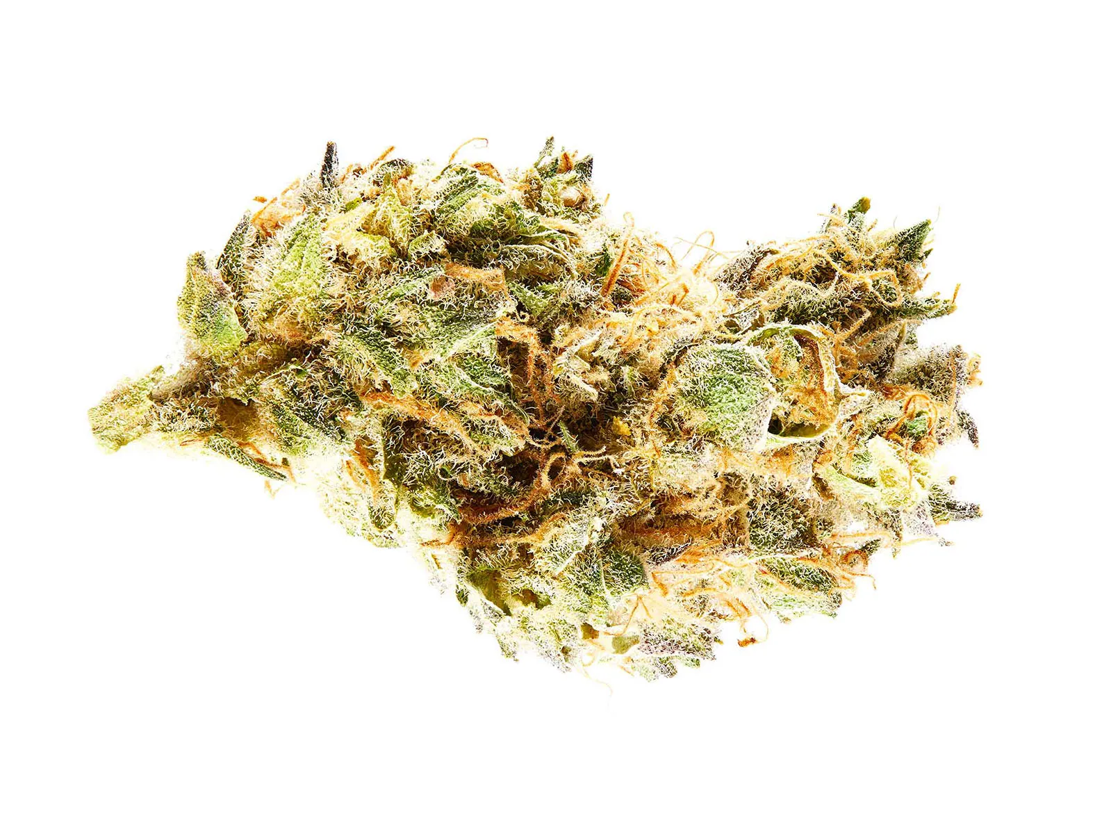 Soon to be legal for 20 percent of American adults.