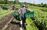 relates to Trudeau Earmarks Billions for Farmers After Trade Concessions